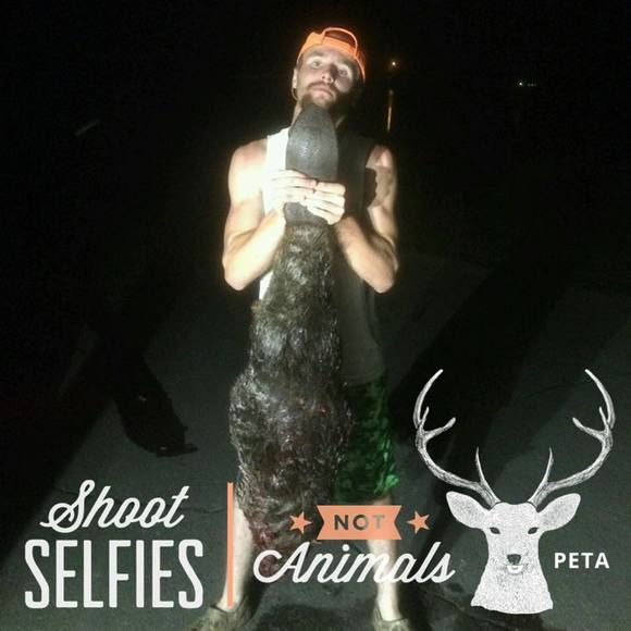 Meet your Posher, Jacob - Picture 1 of 1